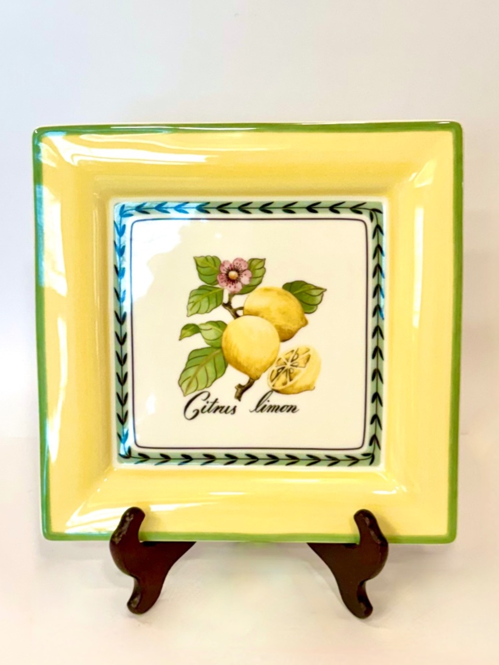 Villeroy & Boch French Garden Macon Citrus Limon Pattern Dinner Plate/Platter